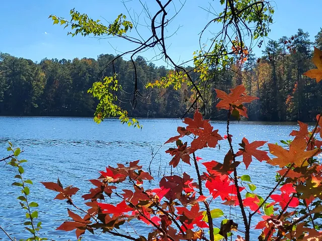 Lake Johnson Park (Avent Ferry Rd Lot)