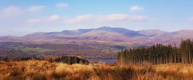 Grizedale Forest - Forestry England