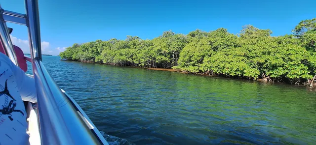 Gina’s Johnny's Boats