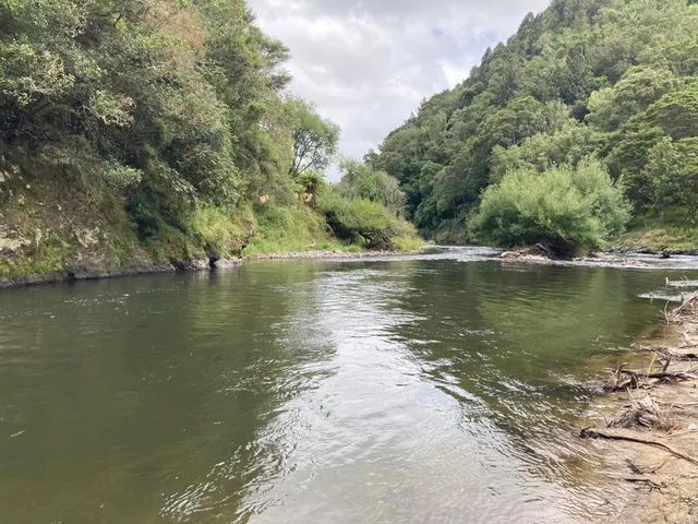 The New Zealand Flyfishing Company