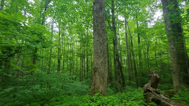 Huskey Gap Trailhead