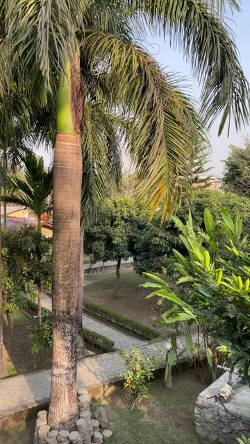 Chitwan Riverside Resort