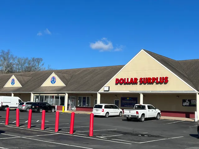 Dollar Surplus 350 inc