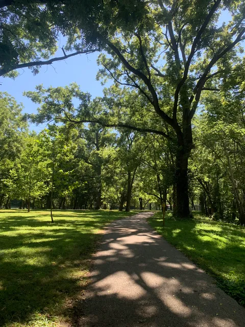 Solomon's Dance Studio