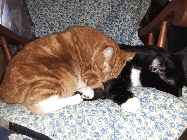 Matt's smoke supplies, limted