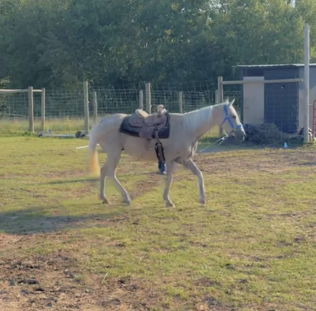 Veterans of Foreign Wars