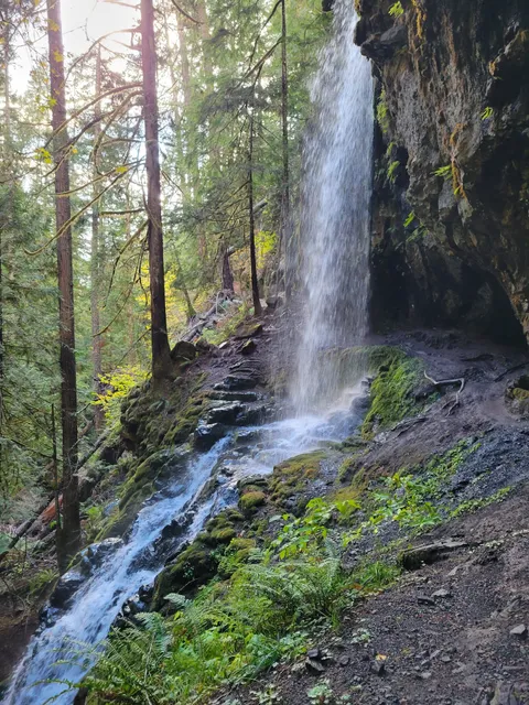 Trestle Creek Falls Trailhead