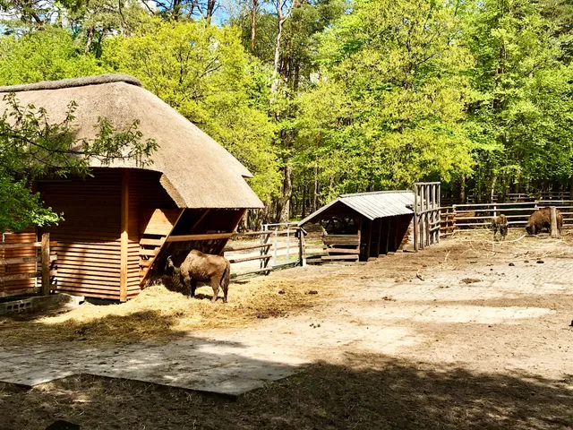 Apartamenty Malachit