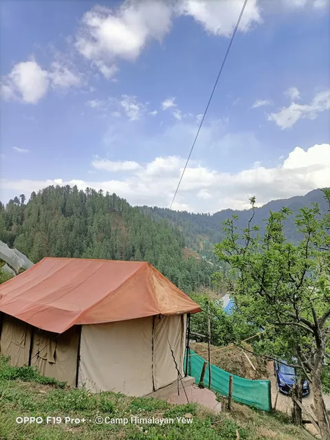 Himalayan Yew Camps And Homestay -- By Raasta stays