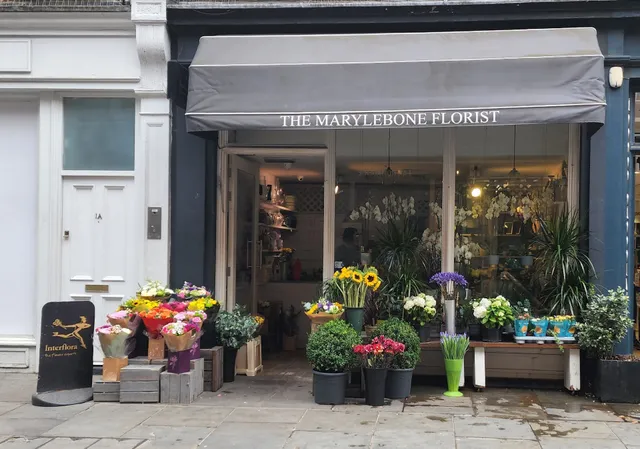 Gainsborough Flowers