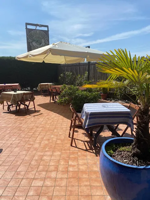 Cactus Flower Ristorante Tex-Mex