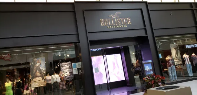 Hollister Co.