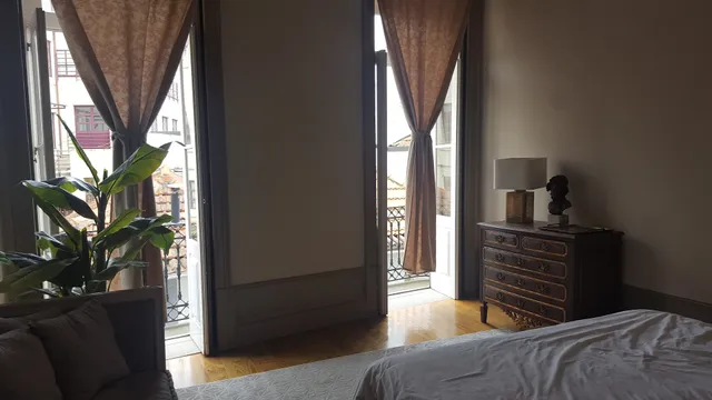 Romantic - Garden of Camellias