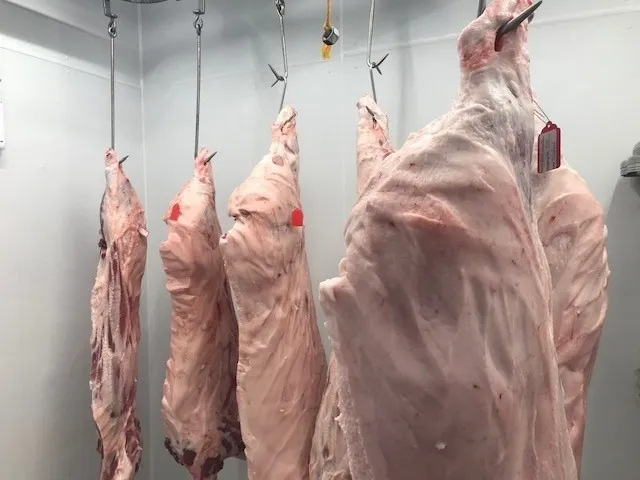 DownRange Processing