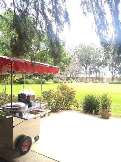 Tacos al Vapor Angie