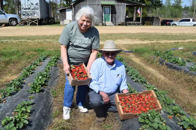 Ochlockonee Ridge Farms