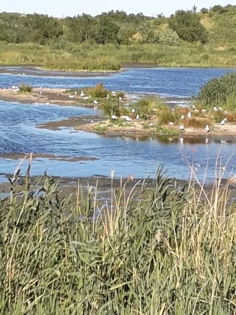 photo-1