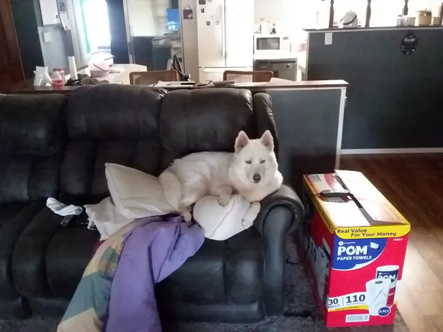 Buddy's Home Furnishings