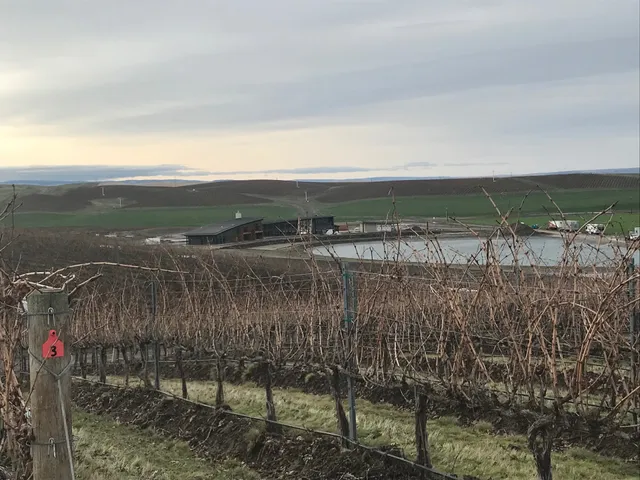 Bergevin Lane Vineyards Tasting Room