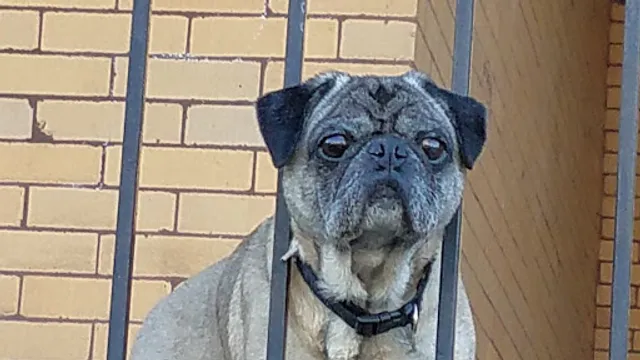 Eddie's Lounge & Restaurant