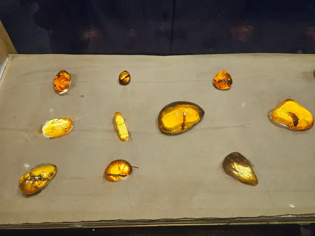 Larimar - Ambar Mine Museum