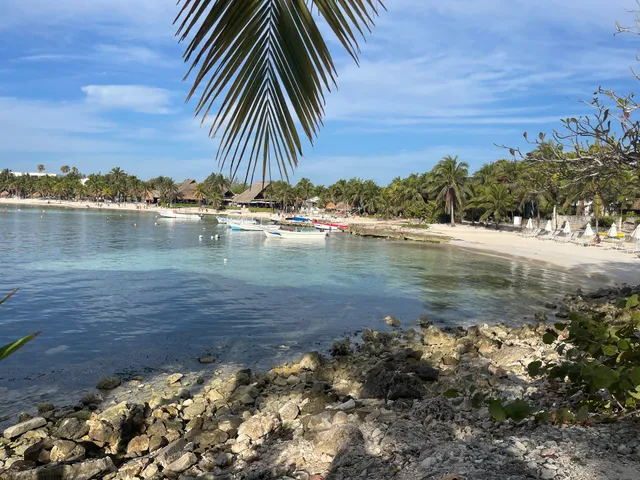 Akumal lagoon snorkeling