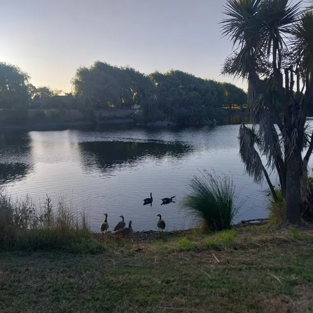 Westlake Reserve Playground