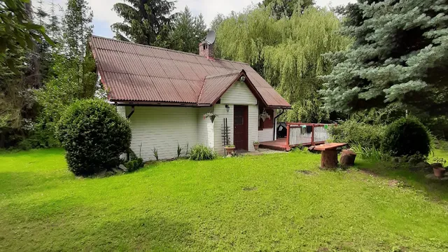 Niezapominajka całoroczny domek