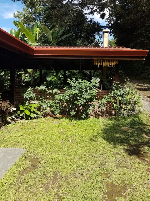 Linda Vista Green Soul