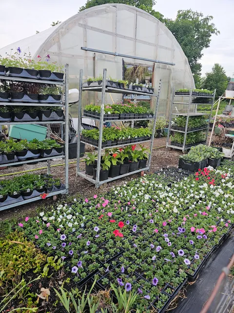 Tingle's Plants and Produce