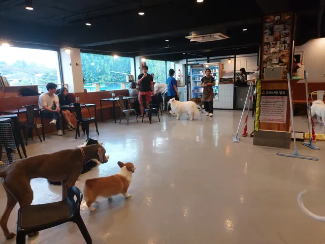 Cafe Hirit (Konkuk University)