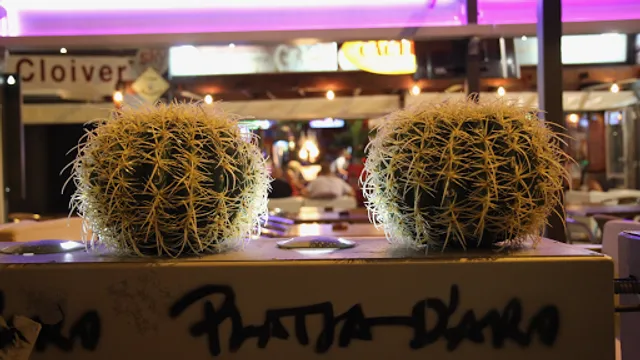 Cactus bar