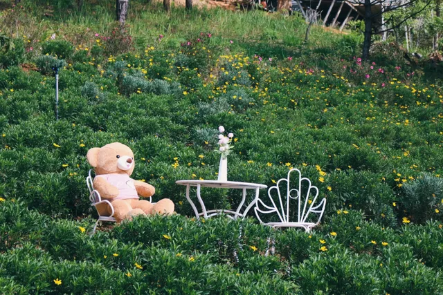 Lavenderdalat Gardens