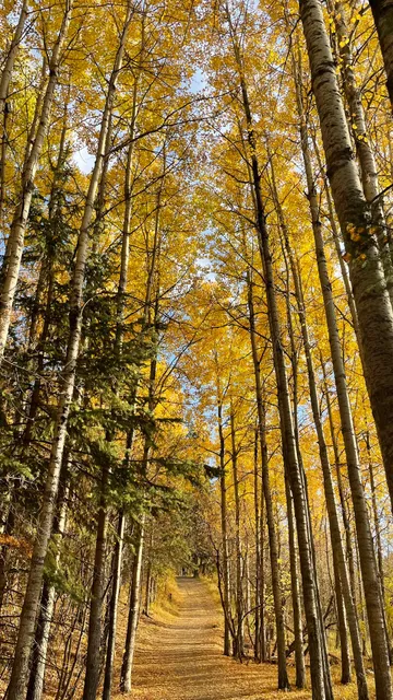 Millcreek ravine parking lot