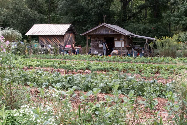 Root Cause Farm at The Lord's Acre