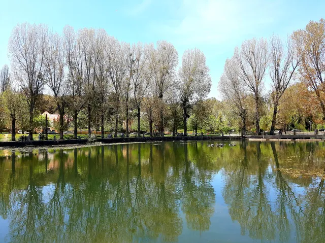 IFRANE LAC in Ifrane, Morocco - reviews,open hours,photo spots, things ...
