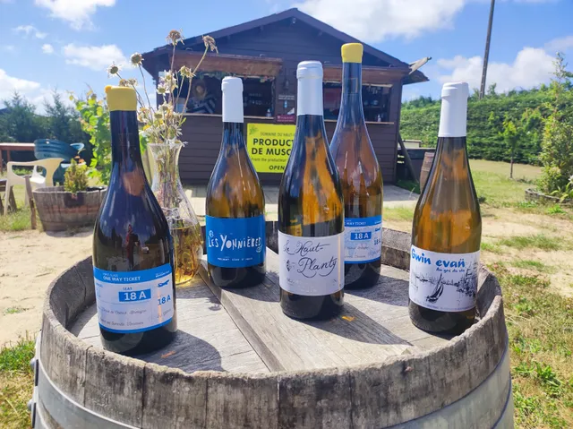 La Cabane au Muscadet