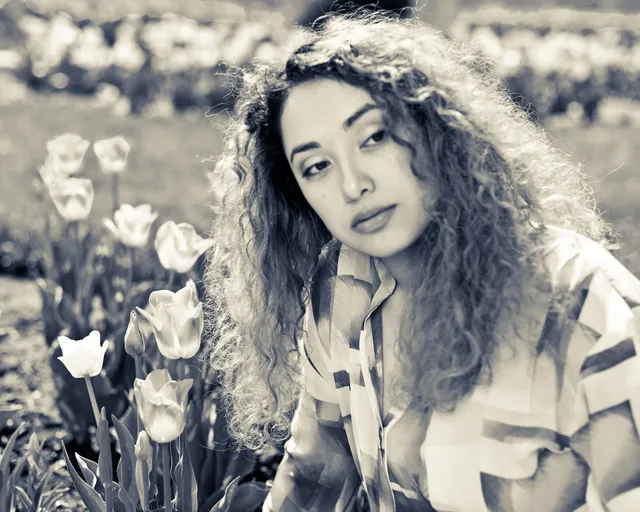 DazzleShot Images, DazzleShot Images- Lifestyle and Events