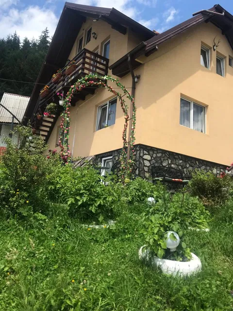 Casa Padina cu Pietre