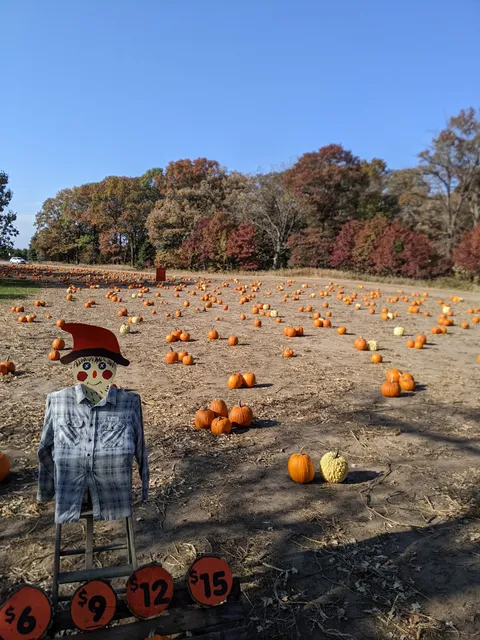 Triple S Pumpkins LLC