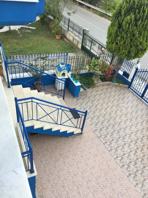 Blue Dream Leptokaria