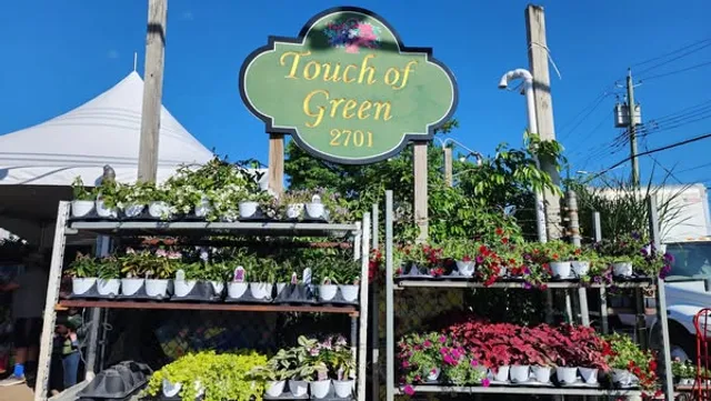 Touch of Green Nursery & Garden
