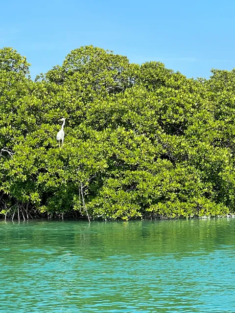 Soul Shine Adventures