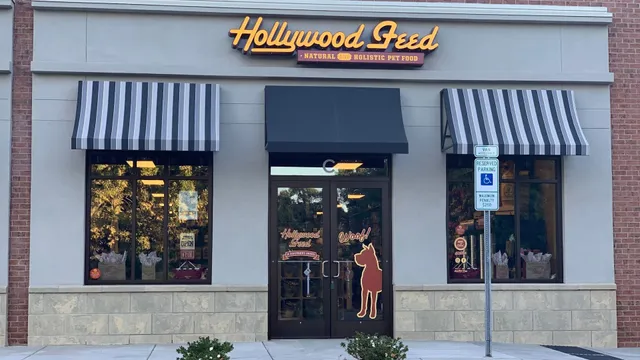 Hollywood Feed