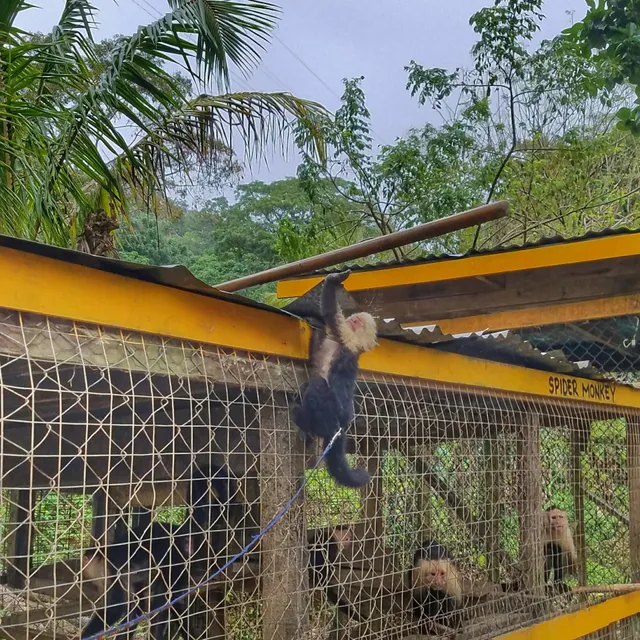 Roatan Trips and Tours