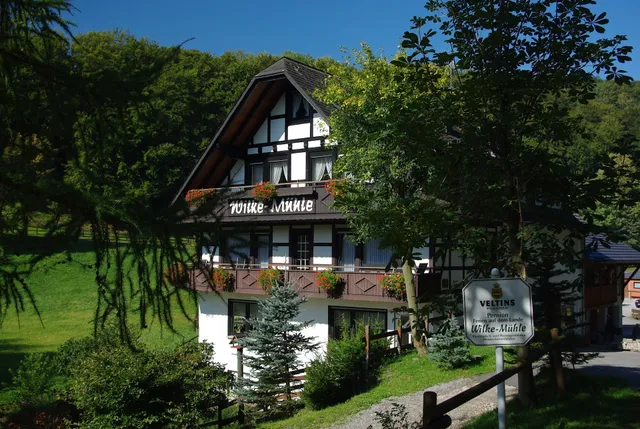 Pferdehof Wilke-Mühle