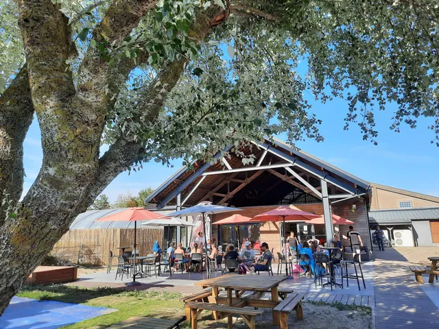 Camping Des Pins SARL