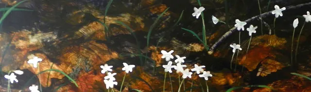 Sewell Mills Studio & Gallery, artist Kurt Plinke