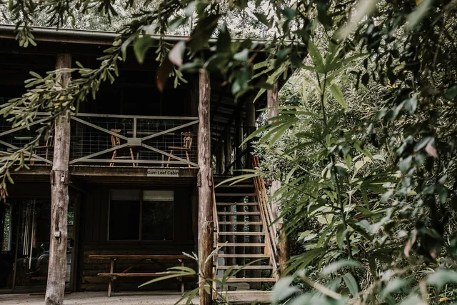 Carawirry Forest Escape