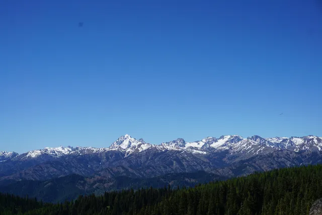 Red Top Lookout Trailhead #1364.1